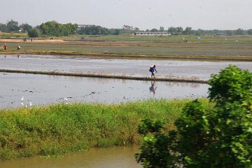 0326 Phitsanulok onderweg.jpg